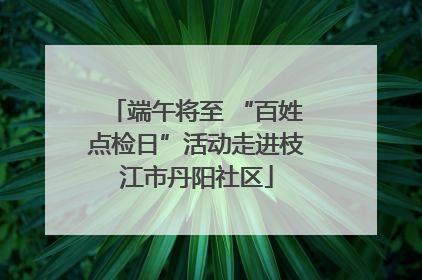 端午将至 “百姓点检日”活动走进枝江市丹阳社区