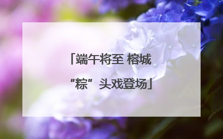 端午将至 榕城“粽”头戏登场