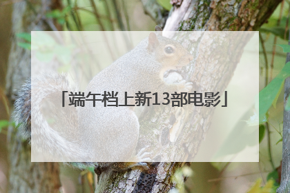 端午档上新13部电影