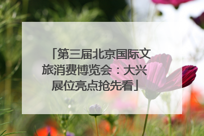 第三届北京国际文旅消费博览会：大兴展位亮点抢先看