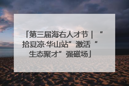 第三届海右人才节｜“拾夏凉·华山站”激活“生态聚才”强磁场