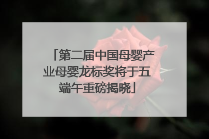 第二届中国母婴产业母婴龙标奖将于五端午重磅揭晓