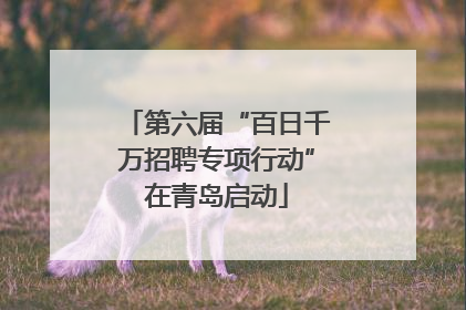 第六届“百日千万招聘专项行动”在青岛启动