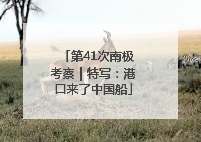 第41次南极考察｜特写：港口来了中国船