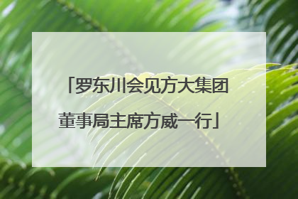 罗东川会见方大集团董事局主席方威一行