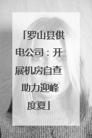 罗山县供电公司：开展机房自查 助力迎峰度夏