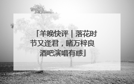 羊晚快评｜落花时节又逢君，睹万梓良酒吧演唱有感