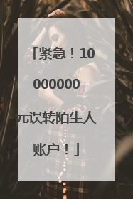 紧急！10000000元误转陌生人账户！