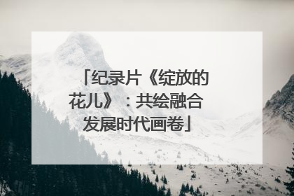 纪录片《绽放的花儿》：共绘融合发展时代画卷