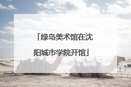 绿岛美术馆在沈阳城市学院开馆