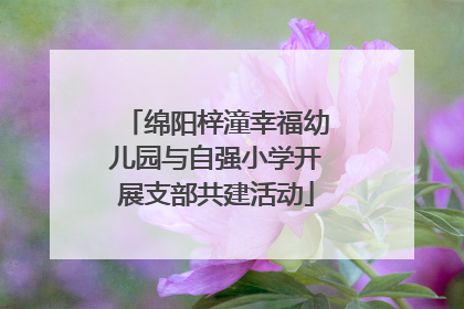 绵阳梓潼幸福幼儿园与自强小学开展支部共建活动