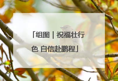 组图｜祝福壮行色 自信赴鹏程