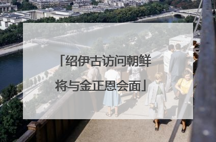 绍伊古访问朝鲜 将与金正恩会面