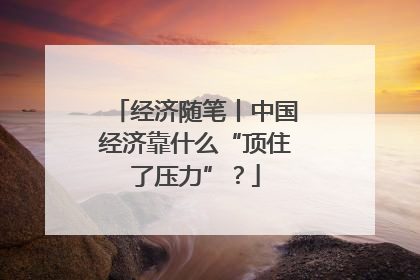 经济随笔丨中国经济靠什么“顶住了压力”？