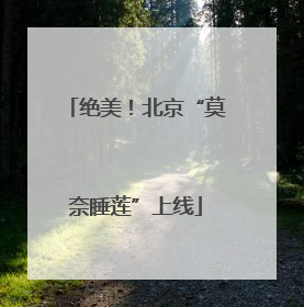 绝美！北京“莫奈睡莲”上线