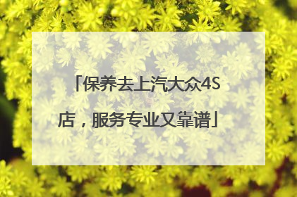 保养去上汽大众4S店，服务专业又靠谱