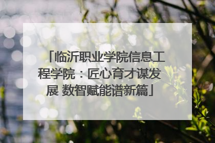 临沂职业学院信息工程学院：匠心育才谋发展 数智赋能谱新篇