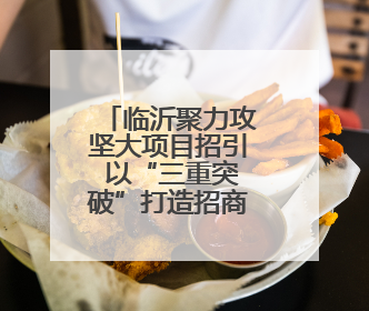 临沂聚力攻坚大项目招引 以“三重突破”打造招商引资新格局