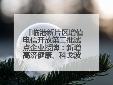 临港新片区增值电信开放第二批试点企业授牌：新增高济健康、科戈波特两家