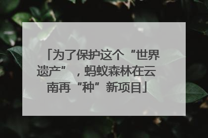 为了保护这个“世界遗产”，蚂蚁森林在云南再“种”新项目