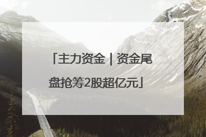 主力资金｜资金尾盘抢筹2股超亿元