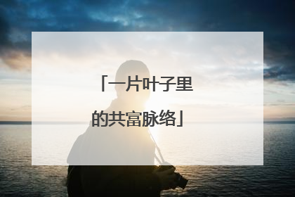 一片叶子里的共富脉络