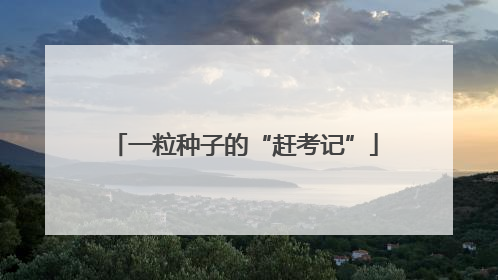 一粒种子的“赶考记”
