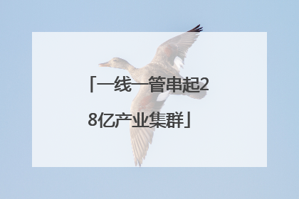 一线一管串起28亿产业集群