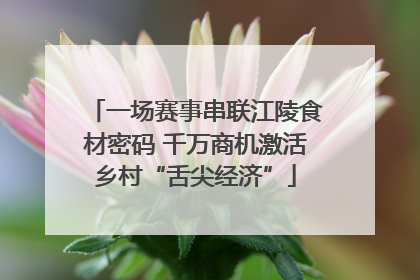 一场赛事串联江陵食材密码 千万商机激活乡村“舌尖经济”