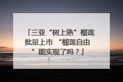 三亚“树上熟”榴莲批量上市 “榴莲自由”能实现了吗？
