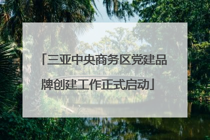 三亚中央商务区党建品牌创建工作正式启动