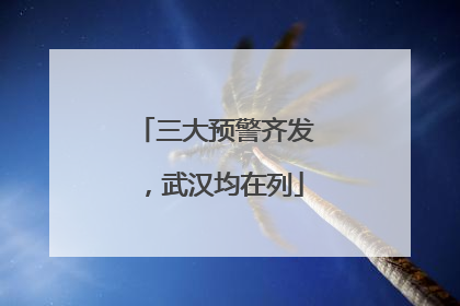 三大预警齐发，武汉均在列