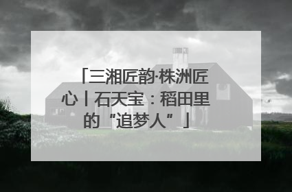 三湘匠韵·株洲匠心丨石天宝：稻田里的“追梦人”