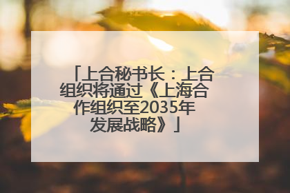 上合秘书长：上合组织将通过《上海合作组织至2035年发展战略》