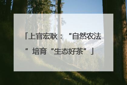 上官宏耿：“自然农法”培育“生态好茶”