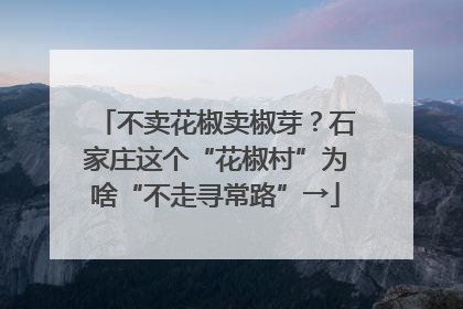 不卖花椒卖椒芽？石家庄这个“花椒村”为啥“不走寻常路”→
