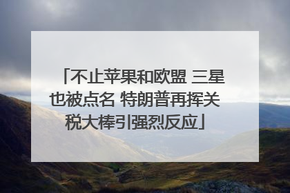 不止苹果和欧盟 三星也被点名 特朗普再挥关税大棒引强烈反应