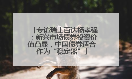 专访瑞士百达杨孝强：新兴市场债券投资价值凸显，中国债券适合作为“稳定器”