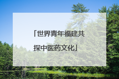 世界青年福建共探中医药文化