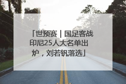 世预赛｜国足客战印尼25人大名单出炉，刘若钒落选