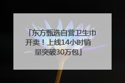 东方甄选自营卫生巾开卖！上线14小时销量突破30万包