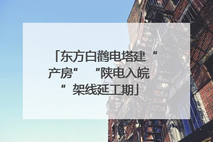 东方白鹳电塔建“产房” “陕电入皖”架线延工期