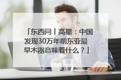 东西问丨高星：中国发现30万年前东亚最早木器意味着什么？