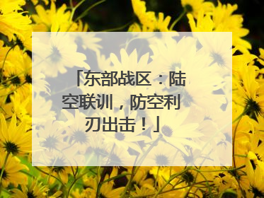 东部战区：陆空联训，防空利刃出击！