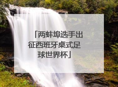 两蚌埠选手出征西班牙桌式足球世界杯