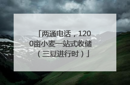 两通电话，1200亩小麦一站式收储（三夏进行时）