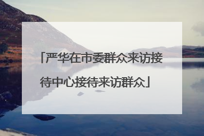 严华在市委群众来访接待中心接待来访群众