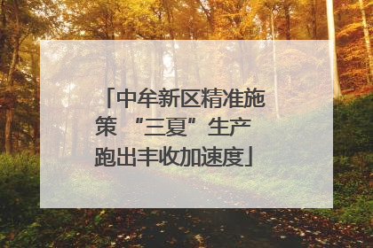 中牟新区精准施策 “三夏”生产跑出丰收加速度