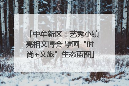 中牟新区：艺秀小镇亮相文博会 擘画“时尚+文旅”生态蓝图