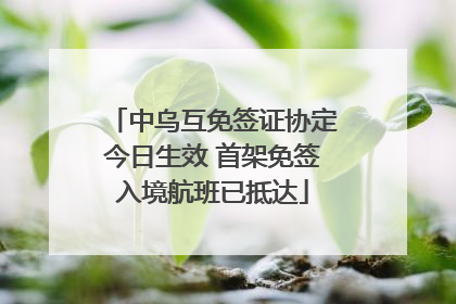 中乌互免签证协定今日生效 首架免签入境航班已抵达